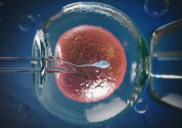 Fecondazione assistita: perché, in un caso su due, gli embrioni sani non si impiantano?