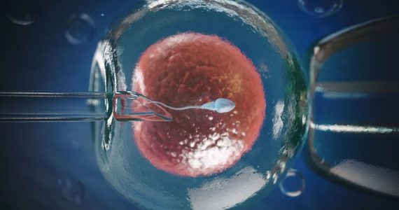 Fecondazione assistita: perché, in un caso su due, gli embrioni sani non si impiantano?