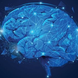 Scoperta sotto-popolazione di cellule cerebrali: nuova arma contro Parkinson e Alzheimer?