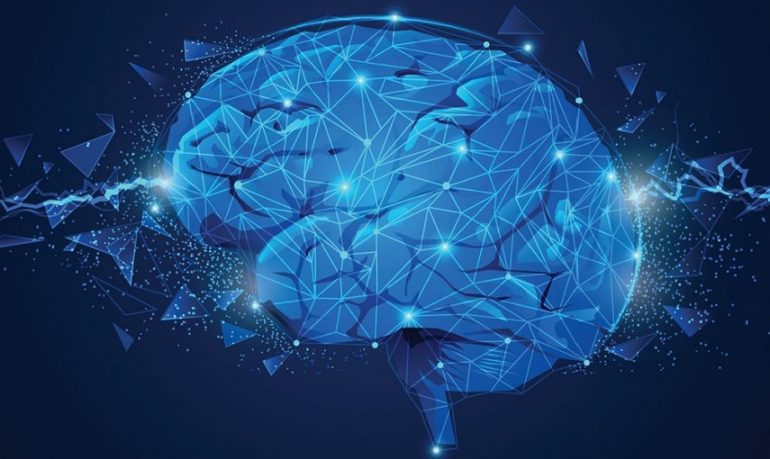 Scoperta sotto-popolazione di cellule cerebrali: nuova arma contro Parkinson e Alzheimer?