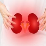 Sindrome nefrosica: dal Bambino Gesù un vademecum per la gestione della malattia