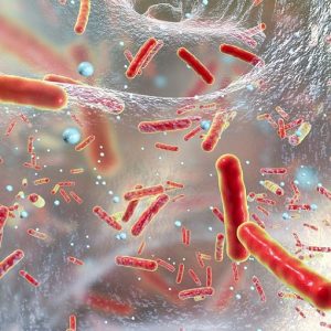 Antibiotici alleati dei batteri: possono aiutarli a sopravvivere di più