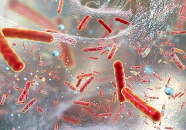 Antibiotici alleati dei batteri: possono aiutarli a sopravvivere di più