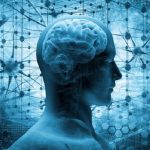 Corteccia cerebrale stampata in 3D può riparare lesioni: lo studio