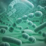 Policlinico di Tor Vergata: 17 pazienti infettati e 9 morti a causa della Klebsiella. Tre medici rischiano il processo
