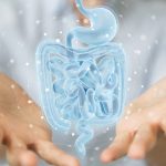 Colesterolo, chiarito il processo di assobimento nell'intestino