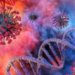Covid-19, scoperta nuova chiave con cui il virus entra nelle cellule umane