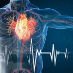 Insufficienza cardiaca, testata nuova molecola