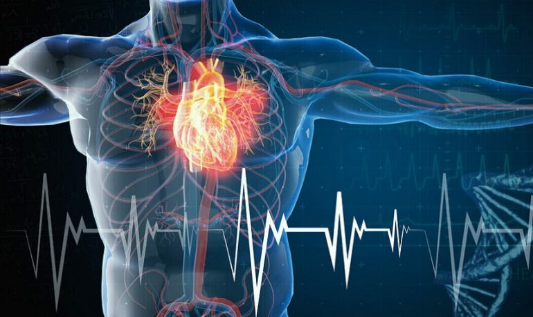 Insufficienza cardiaca, testata nuova molecola