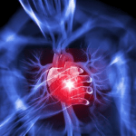 Malattie cardiovascolari, cresce l'incidenza e si confermano prima causa di morte in Italia 3
