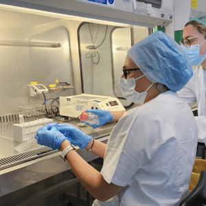 Reimpianto di tesuto ovarico crioconservato dopo malattia oncologica: prima volta in Toscana