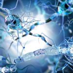 Sclerosi multipla secondaria progressiva: risultati positivi dal trapianto di cellule staminali