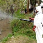 Dengue, è allarme in Argentina