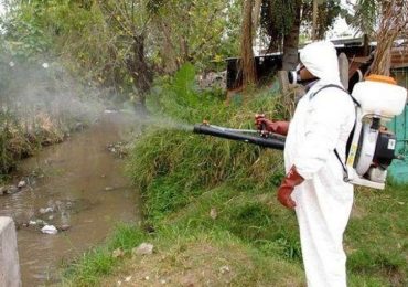 Dengue, è allarme in Argentina