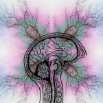 La sindrome di Tourette: sintomi, cause, diagnosi, terapia, problemi e disturbi associati