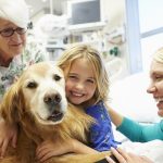 #IPAWYOU, pet therapy rivoluziona la cura dei disturbi alimentari a Udine