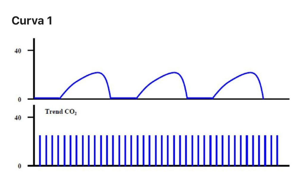 L’importanza del monitoraggio capnografico nella ventilazione meccanica: approfondimento tecnico 11