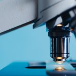 Lotta a tumori, infezioni e malattie autoimmuni: scoperta nuova cellula del sistema immunitario