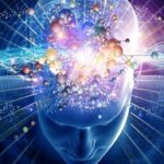 Memoria: nel sistema immunitario la "regia" dei ricordi