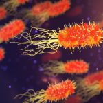 Super batteri, sviluppati nuovi polimeri in grado di combatterli