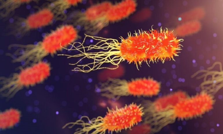 Super batteri, sviluppati nuovi polimeri in grado di combatterli