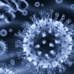 Virus influenzale A/H1N1: domande e risposte