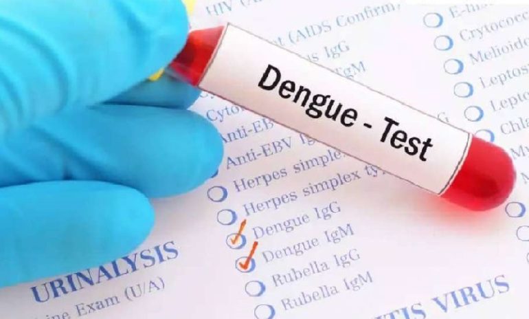 Infezioni primarie da dengue: rischio serio per la salute. Lo studio