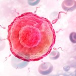 Tumori, in Italia 30 nuovi casi al giorno tra gli under 40. Siru: "Importante preservare la fertilità"