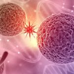 Virus di Epstein-Barr, ecco come compromette la risposta immunitaria ai tumori. Lo studio della Sapienza
