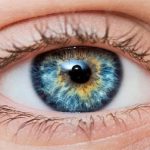 Glaucoma: le raccomandazioni dell'AIMO in occasione della Settimana mondiale