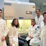 Papilloma virus (HPV): forte risposta immunitaria da nuovo vaccino