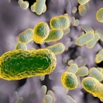Batteri resistenti agli antibiotici: nuovi farmaci sintetizzabili grazie all'intelligenza artificiale