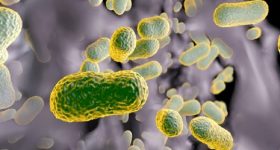 Batteri resistenti agli antibiotici: nuovi farmaci sintetizzabili grazie all'intelligenza artificiale