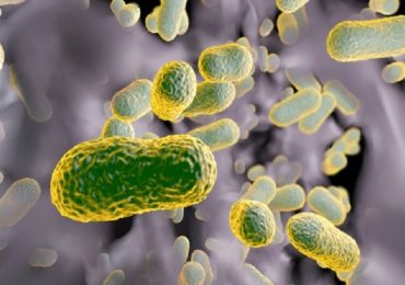 Batteri resistenti agli antibiotici: nuovi farmaci sintetizzabili grazie all'intelligenza artificiale