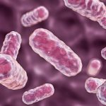 Citrobacter: sintomi, modalità di trasmissione, prevenzione e trattamento