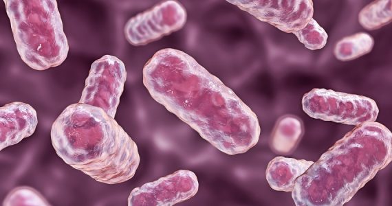 Citrobacter: sintomi, modalità di trasmissione, prevenzione e trattamento