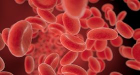 La proteina del sangue che predice il rischio di cancro e infarto negli anziani
