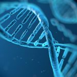 Ricerca genomica, arriva a Bari il più avanzato sequenziatore di Dna