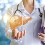 Riparazione del tessuto epatico danneggiato: scoperta una cellula responsabile