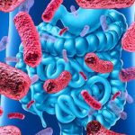 Tumori, individuati batteri intestinali che potenziano gli effetti dell'immunoterapia