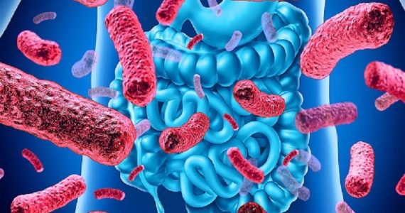 Tumori, individuati batteri intestinali che potenziano gli effetti dell'immunoterapia