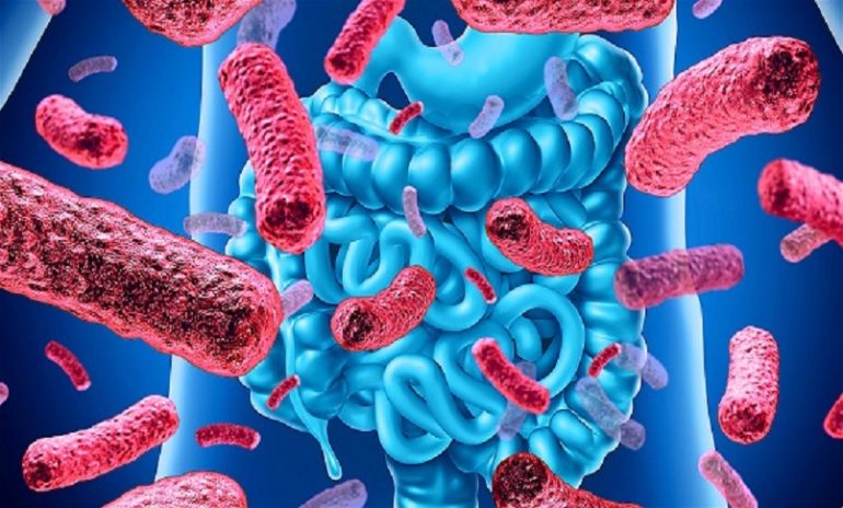 Tumori, individuati batteri intestinali che potenziano gli effetti dell'immunoterapia