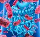 Tumori, individuati batteri intestinali che potenziano gli effetti dell'immunoterapia