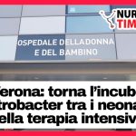 Verona: torna l’incubo citrobacter tra i neonati della terapia intensiva