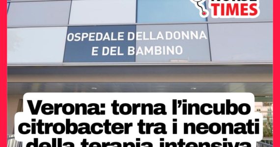 Verona: torna l’incubo citrobacter tra i neonati della terapia intensiva