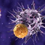 Cancro, nuova terapia ne aggira le difese mascherando gli anticorpi