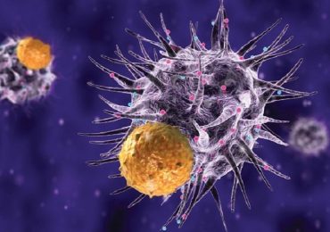 Cancro, nuova terapia ne aggira le difese mascherando gli anticorpi
