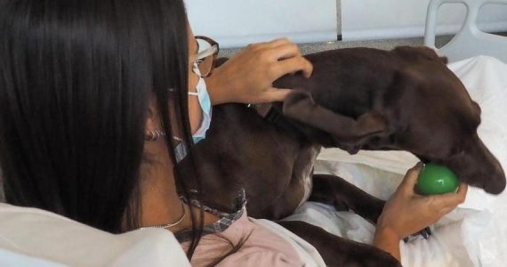 Cure più umane grazie a Hello Pet! L'iniziativa di due infermieri a Biella