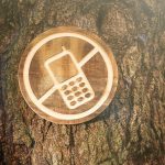 Digital detox: perché l'estate può essere un'ottima occasione per disintossicarsi dal digitale