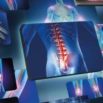 Scoperto ormone che rafforza le ossa: nuovo alleato nella cura di fratture e osteoporosi